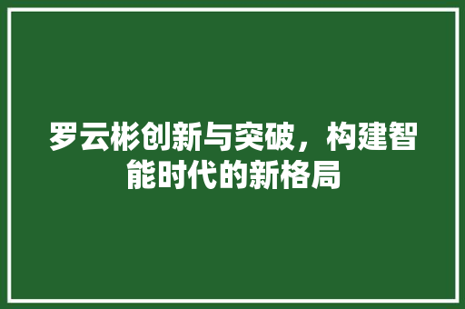 罗云彬创新与突破，构建智能时代的新格局