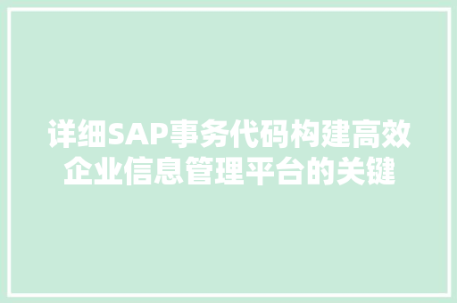 详细SAP事务代码构建高效企业信息管理平台的关键