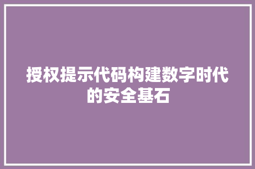 授权提示代码构建数字时代的安全基石