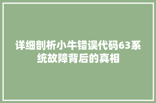 详细剖析小牛错误代码63系统故障背后的真相