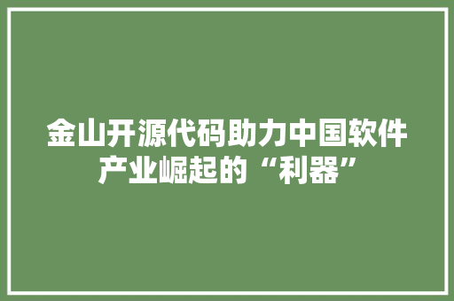 金山开源代码助力中国软件产业崛起的“利器”