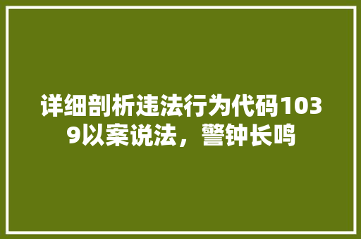 详细剖析违法行为代码1039以案说法，警钟长鸣