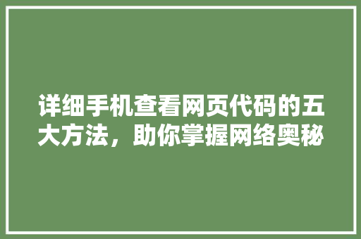 详细手机查看网页代码的五大方法，助你掌握网络奥秘