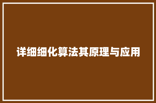 详细细化算法其原理与应用