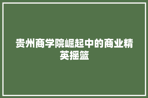 贵州商学院崛起中的商业精英摇篮