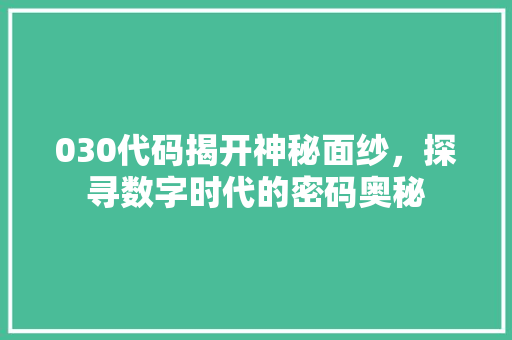 030代码揭开神秘面纱，探寻数字时代的密码奥秘  第1张