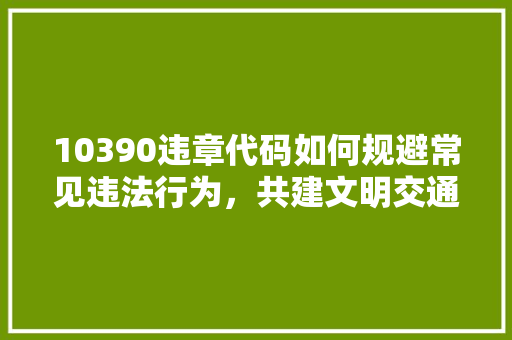 10390违章代码如何规避常见违法行为，共建文明交通环境