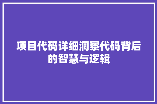 项目代码详细洞察代码背后的智慧与逻辑