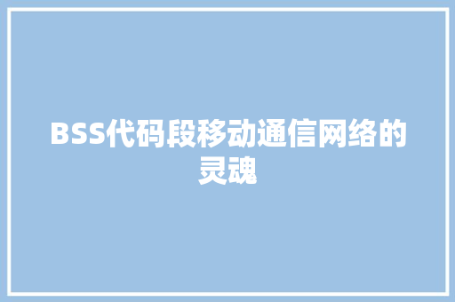 BSS代码段移动通信网络的灵魂