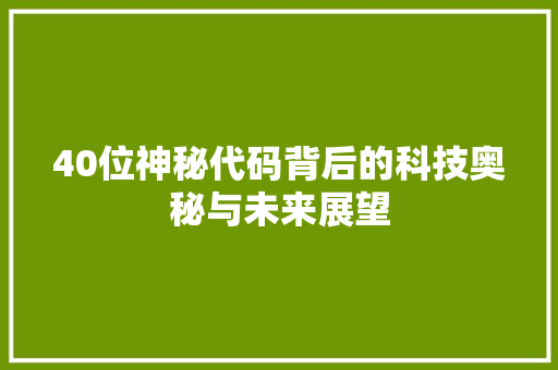 40位神秘代码背后的科技奥秘与未来展望  第1张