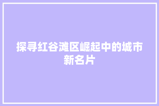 探寻红谷滩区崛起中的城市新名片