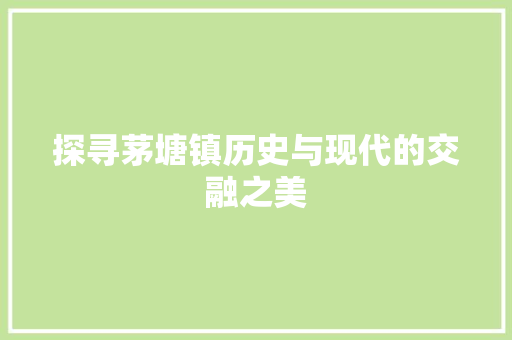 探寻茅塘镇历史与现代的交融之美