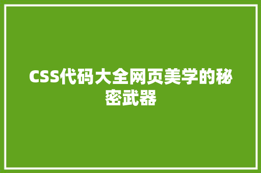 CSS代码大全网页美学的秘密武器