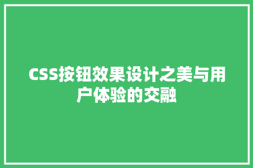 CSS按钮效果设计之美与用户体验的交融