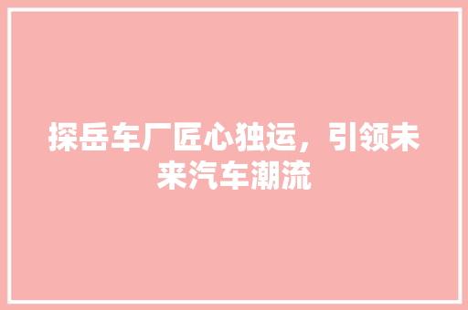 探岳车厂匠心独运，引领未来汽车潮流