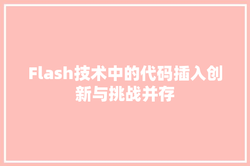 Flash技术中的代码插入创新与挑战并存