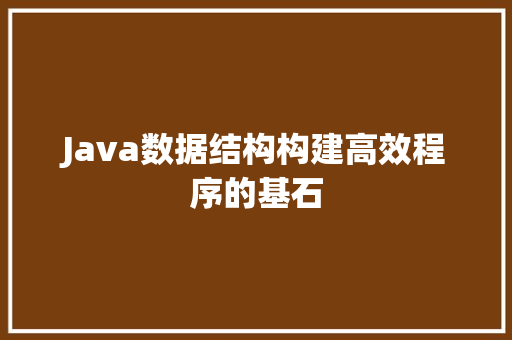 Java数据结构构建高效程序的基石