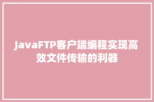 JavaFTP客户端编程实现高效文件传输的利器