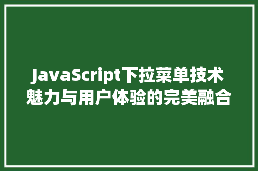 JavaScript下拉菜单技术魅力与用户体验的完美融合