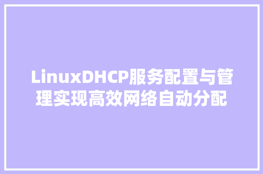 LinuxDHCP服务配置与管理实现高效网络自动分配