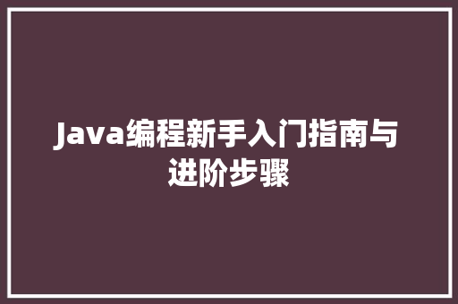 Java编程新手入门指南与进阶步骤  第1张