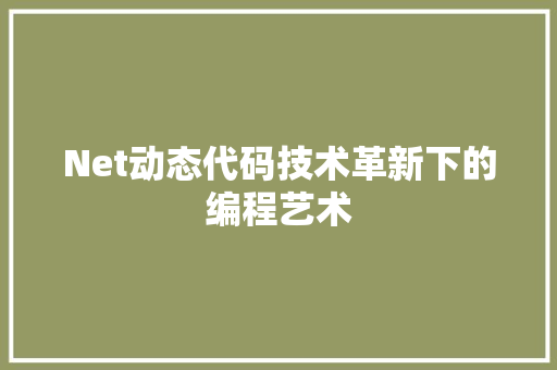 Net动态代码技术革新下的编程艺术