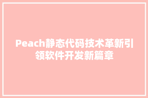 Peach静态代码技术革新引领软件开发新篇章