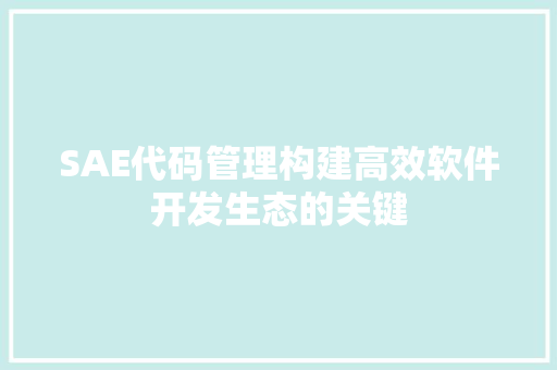 SAE代码管理构建高效软件开发生态的关键