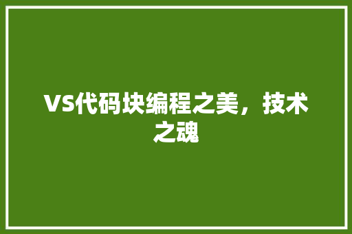 VS代码块编程之美，技术之魂