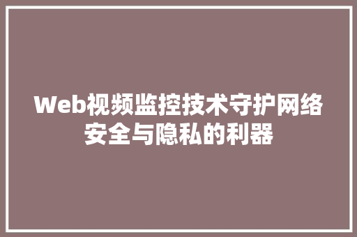 Web视频监控技术守护网络安全与隐私的利器