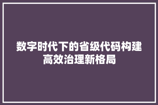 数字时代下的省级代码构建高效治理新格局