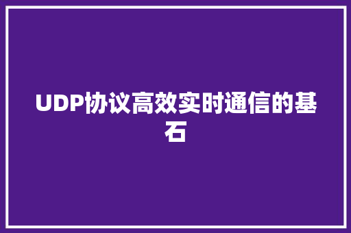 UDP协议高效实时通信的基石