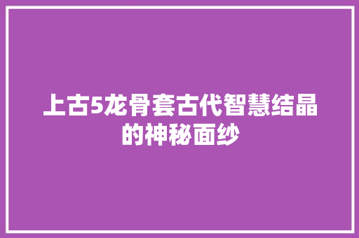 上古5龙骨套古代智慧结晶的神秘面纱