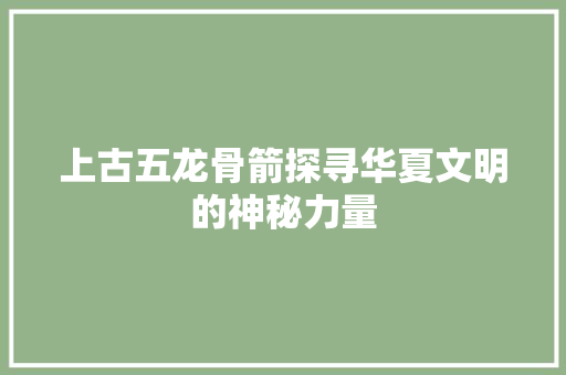 上古五龙骨箭探寻华夏文明的神秘力量