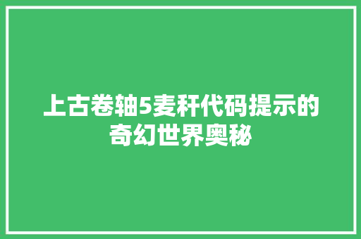 上古卷轴5麦秆代码提示的奇幻世界奥秘
