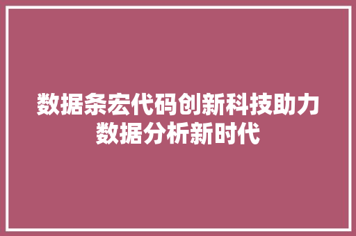 数据条宏代码创新科技助力数据分析新时代
