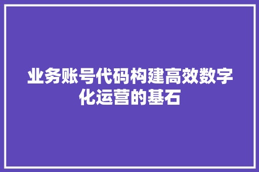 业务账号代码构建高效数字化运营的基石