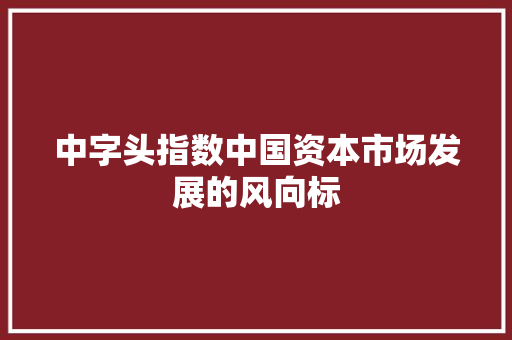 中字头指数中国资本市场发展的风向标