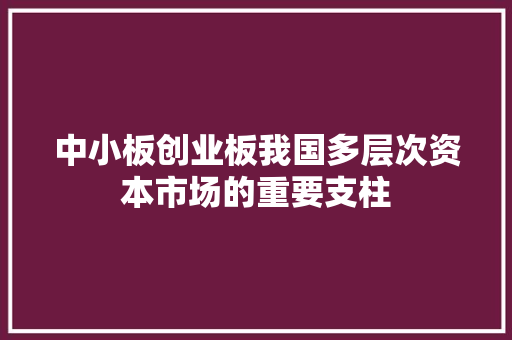 中小板创业板我国多层次资本市场的重要支柱
