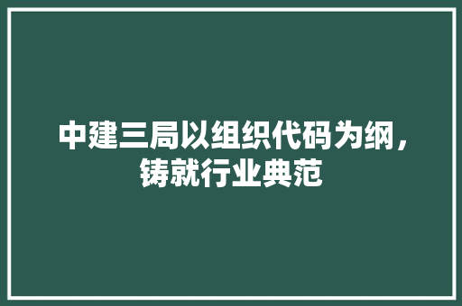 中建三局以组织代码为纲，铸就行业典范