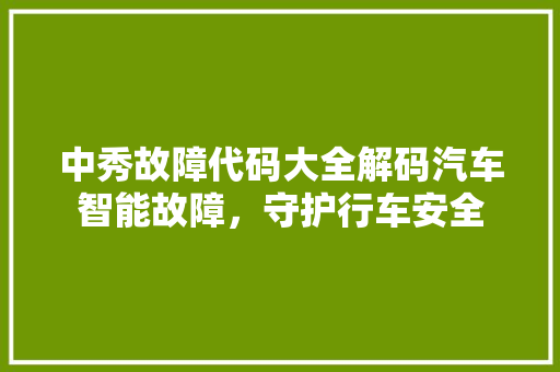 中秀故障代码大全解码汽车智能故障，守护行车安全  第1张