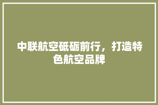 中联航空砥砺前行，打造特色航空品牌