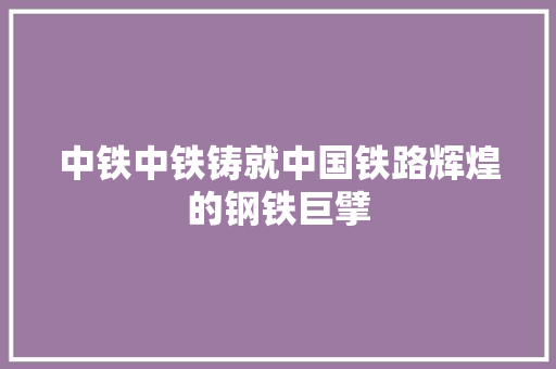 中铁中铁铸就中国铁路辉煌的钢铁巨擘