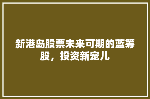 新港岛股票未来可期的蓝筹股，投资新宠儿