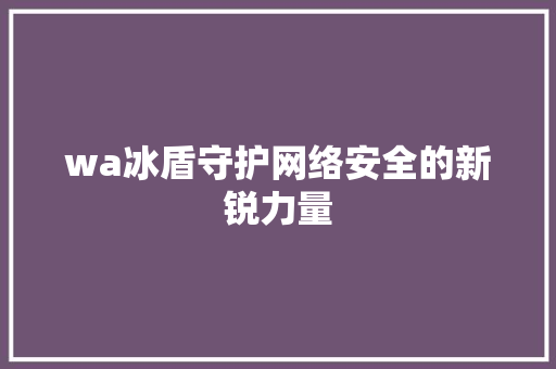 wa冰盾守护网络安全的新锐力量