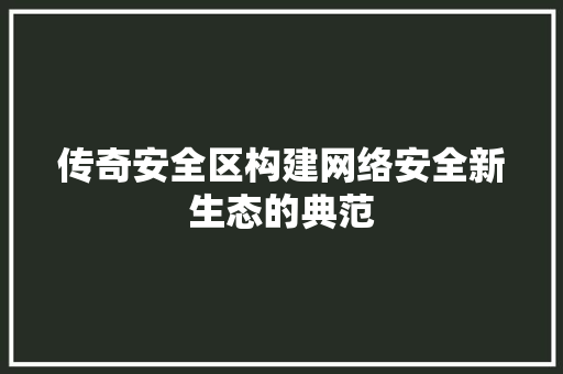 传奇安全区构建网络安全新生态的典范