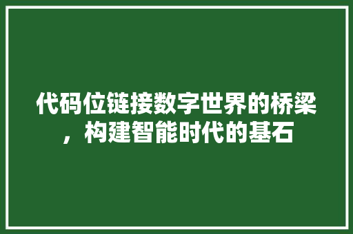 代码位链接数字世界的桥梁，构建智能时代的基石