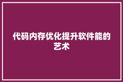 代码内存优化提升软件能的艺术