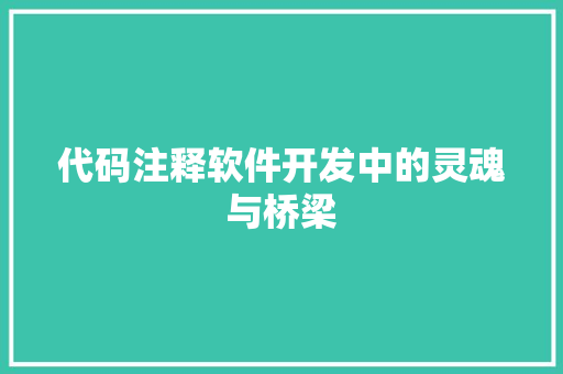 代码注释软件开发中的灵魂与桥梁