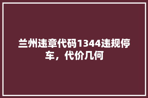 兰州违章代码1344违规停车，代价几何